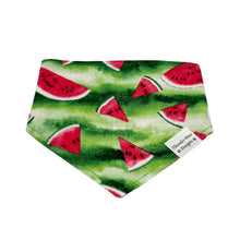 Load image into Gallery viewer, Watermelon Picnic
